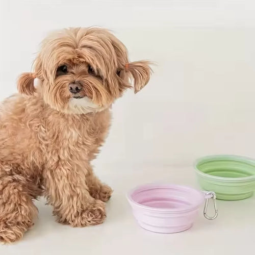 Foldable Silicone Dog & Cat Bowl – Portable Travel Feeding Bowl