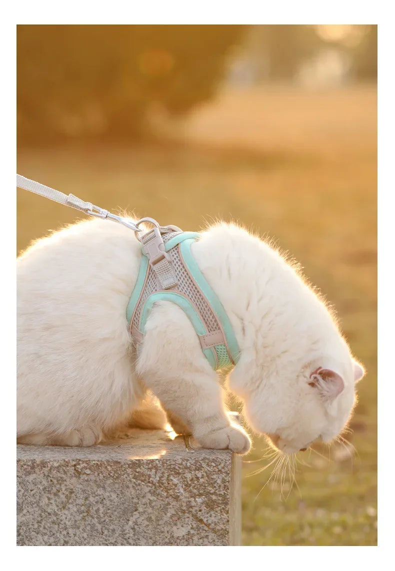 breathable mesh pet harness with reflective safety stitching set