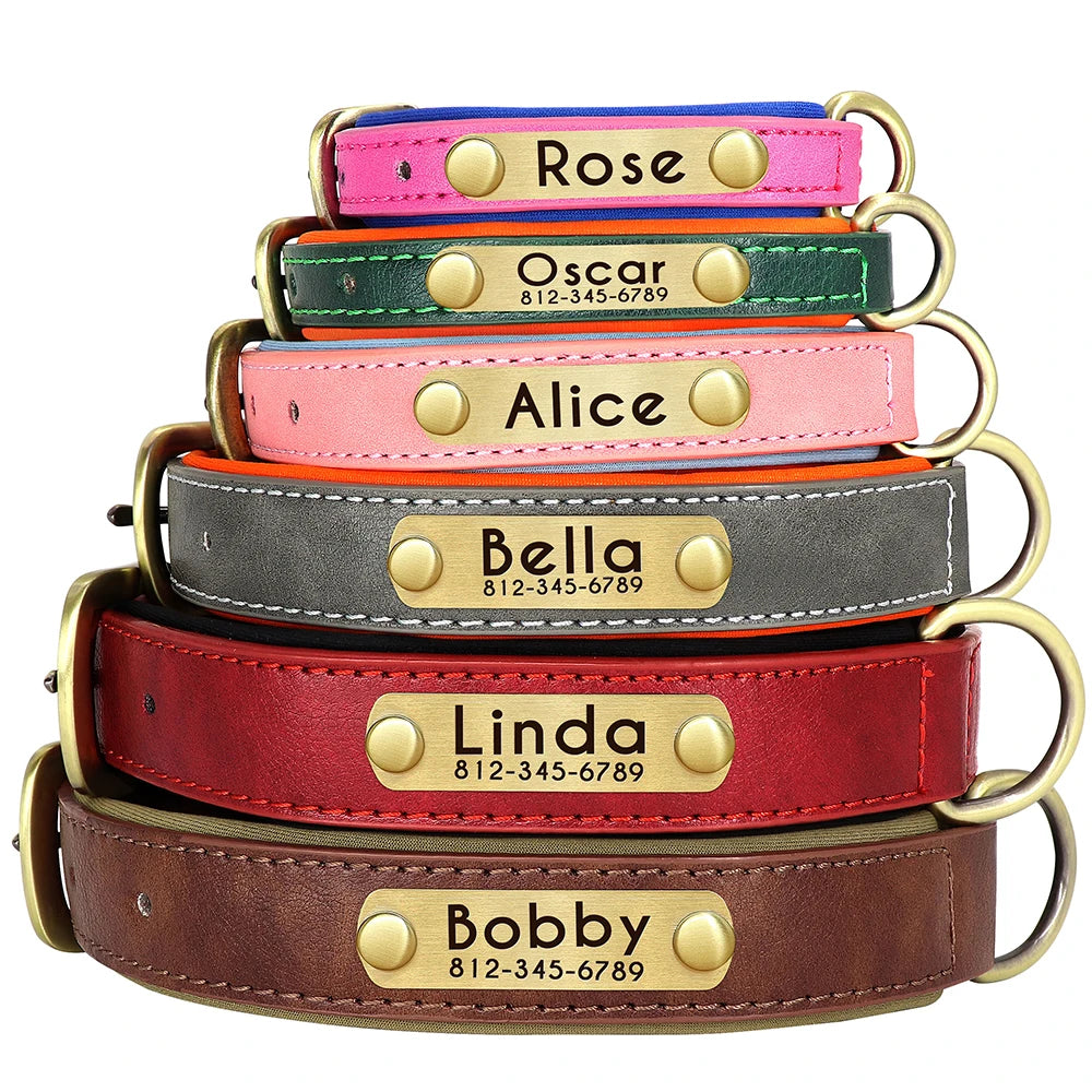 padded leather dog collar and leash set with custom nameplate tag
