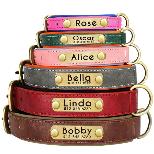 Padded Leather Dog Collar and Leash Set with Custom Nameplate Tag
