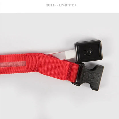 3 Modes Rechargeable LED Dog Collar - Adjustable Night Safety Glow Collar