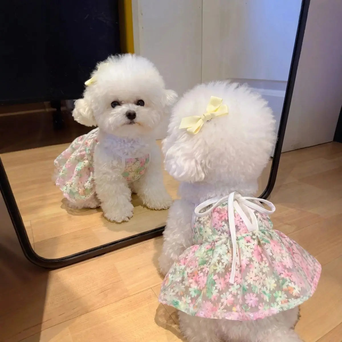 cherry blossom princess dog skirt - soft, breathable small dog dress