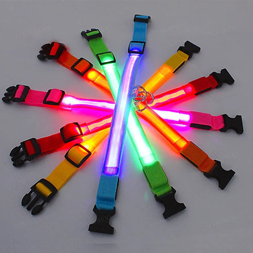 3 Modes Rechargeable LED Dog Collar - Adjustable Night Safety Glow Collar