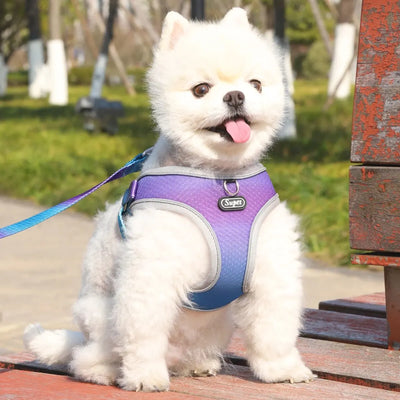 Step-In Dog Harness with Reflective, Breathable Design, Adjustable