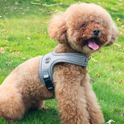 No-Pull Nylon Dog Harness - Reflective, Adjustable Anti-Burst Vest