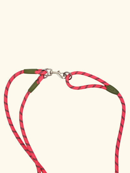 Hands-Free Reflective Nylon Dog Leash for Running and Walking Dogs