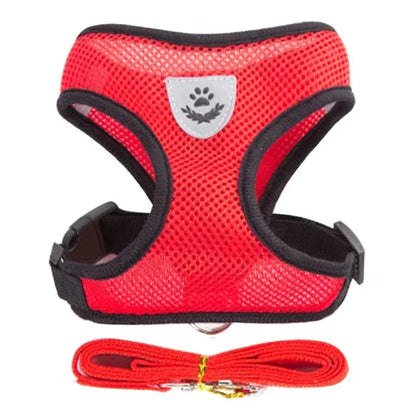 Adjustable Mesh Vest Harness & Leash - Breathable for Cats & Dogs