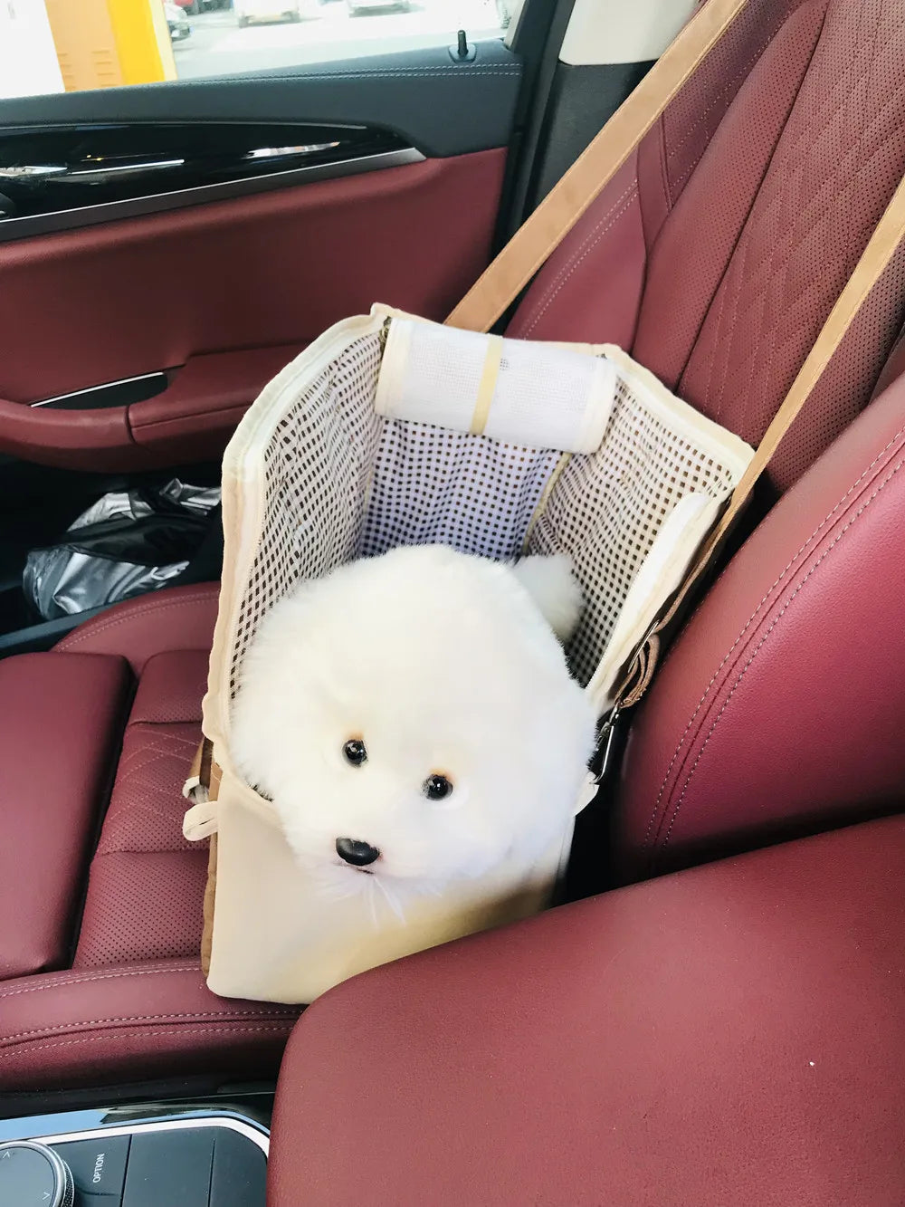 breathable pet carrier shoulder bag for cats & puppies, car seat