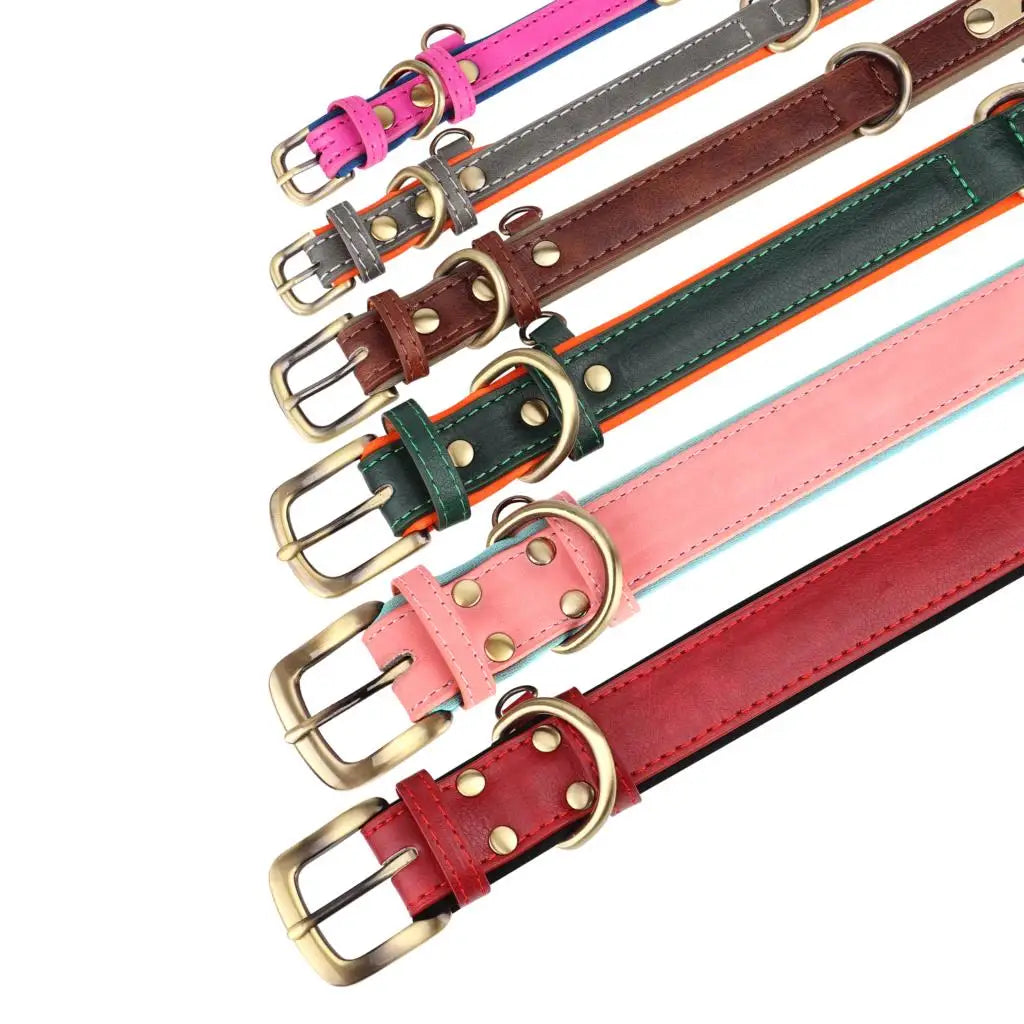 padded leather dog collar and leash set with custom nameplate tag