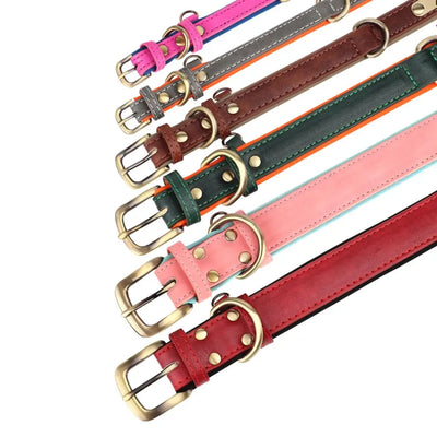 Padded Leather Dog Collar and Lead Set with Custom Nameplate Tag
