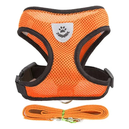 Adjustable Mesh Vest Harness & Leash - Breathable for Cats & Dogs