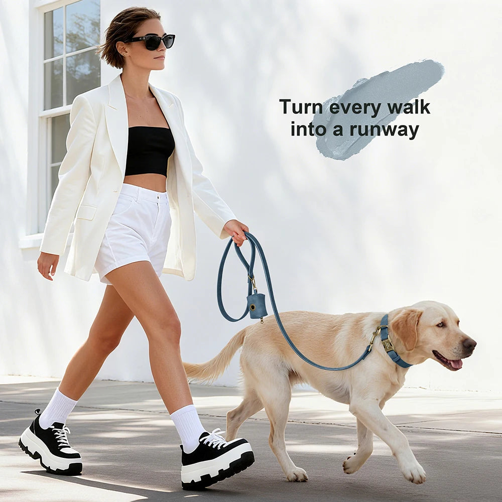 personalized vintage pu leather dog collar & leash set with poop bag