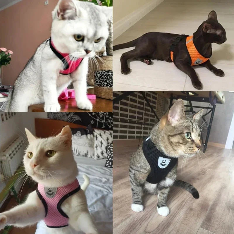 adjustable mesh vest harness & leash - breathable for cats & dogs