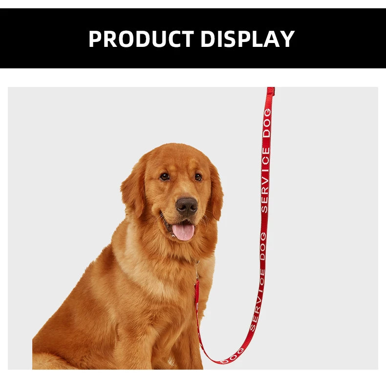 red reflective padded dog leash for outdoor walking and running sport