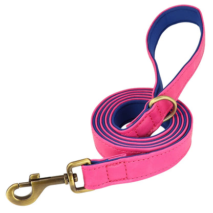 Padded Leather Dog Collar and Leash Set with Custom Nameplate Tag