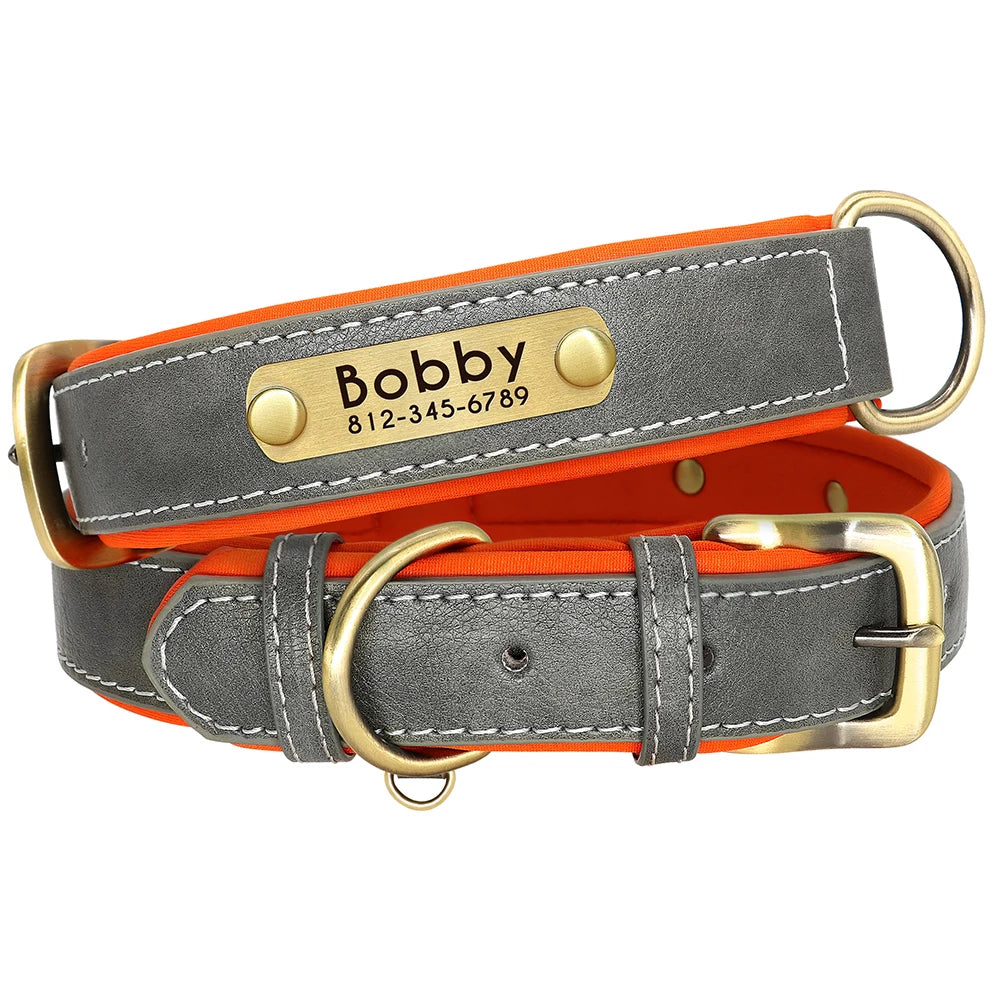 padded leather dog collar and leash set with custom nameplate tag