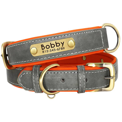 Padded Leather Dog Collar and Leash Set with Custom Nameplate Tag