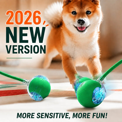 Automatic Rolling Dog Ball Toy - Rechargeable Smart Interactive Toy