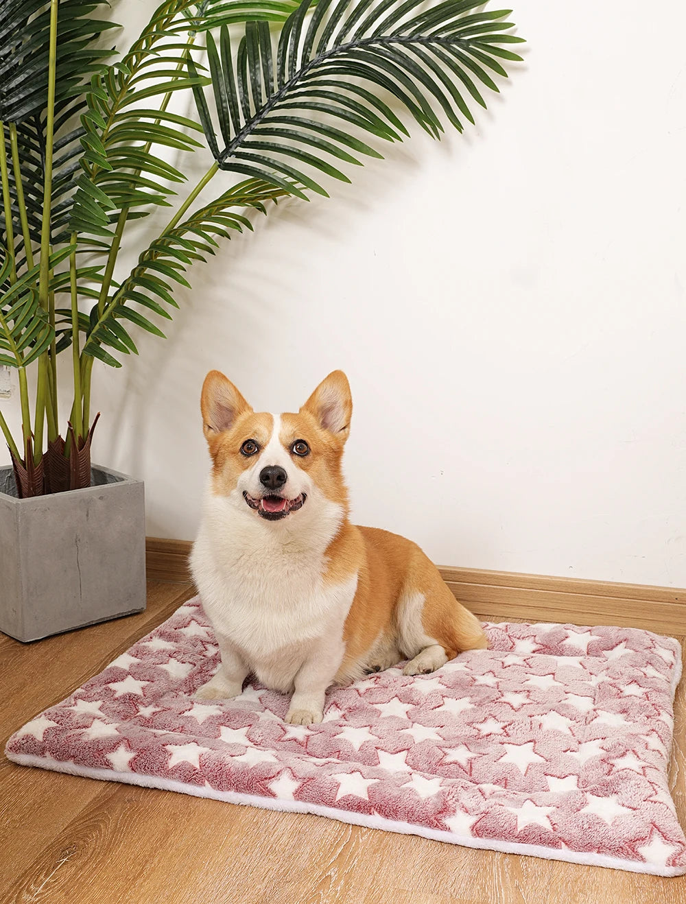 thickened dog bed mat warm machine washable blanket for puppies and cats