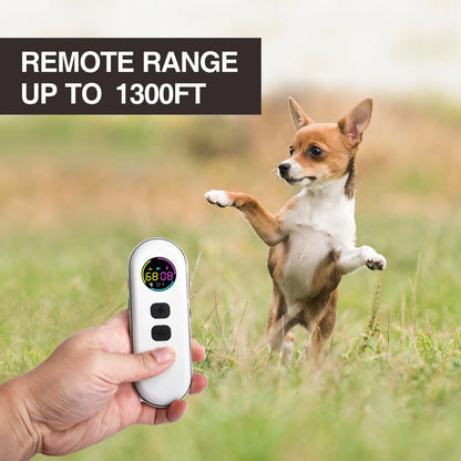 Rechargeable Waterproof Dog Training Collar, Remote Control, 5-120lbs