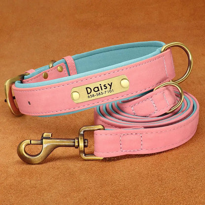 Padded Leather Dog Collar and Leash Set with Custom Nameplate Tag