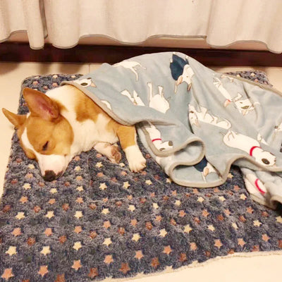 Thickened Soft Fleece Dog Bed Mat Warm Pet Blanket for Dogs and Cats