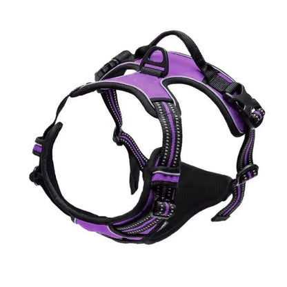 Personalized Leather-Style Dog Harness Set – Comfortable Vest