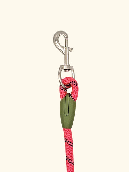 Hands-Free Reflective Nylon Dog Leash for Running and Walking Dogs
