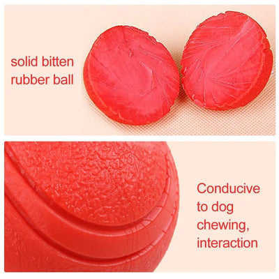 Durable Rubber Bounce Ball - Bite-Resistant Dog Toy for All Sizes