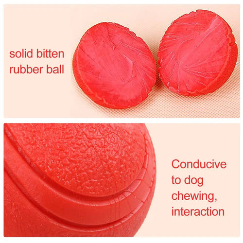 Durable Rubber Bounce Ball - Bite-Resistant Dog Toy for All Sizes