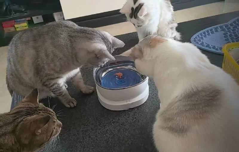 magnetic drive wireless cat water fountain 100 day battery filter-free
