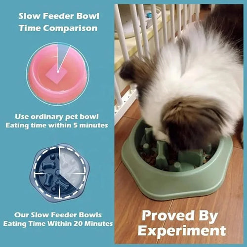 Puzzle Slow Feeder Dog Bowl – Non-Slip Anti-Choking Feeding Dish