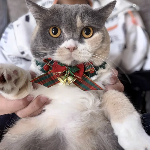 Crocheted Christmas Cat Bow Tie Collar for Kittens and Puppies