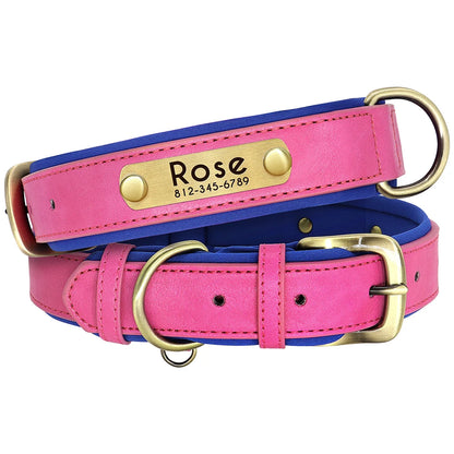 Padded Leather Dog Collar and Leash Set with Custom Nameplate Tag