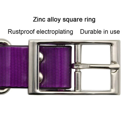 2.5cm Wide Heavy-Duty TPU Dog Collar for Hunting, Training, and Everyday Walks
