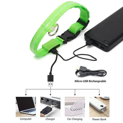 3 Modes Rechargeable LED Dog Collar - Adjustable Night Safety Glow Collar