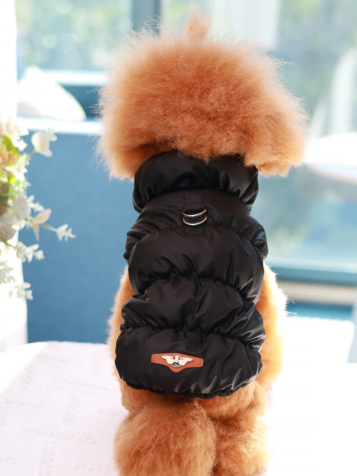 thick warm 3-layer puppy jacket for autumn winter poodle teddy yorkie