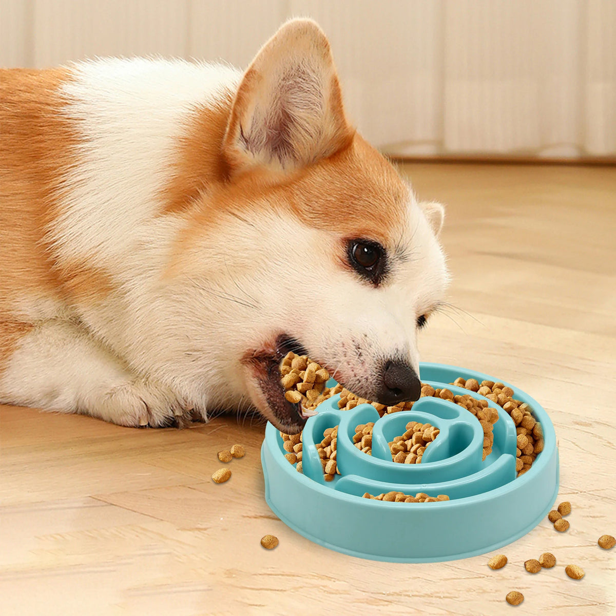 maze design slow feeder dog bowl – anti-gulping feeding dish