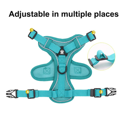 Adjustable Harness & Leash Set for Small Dogs - Reflective, Breathable