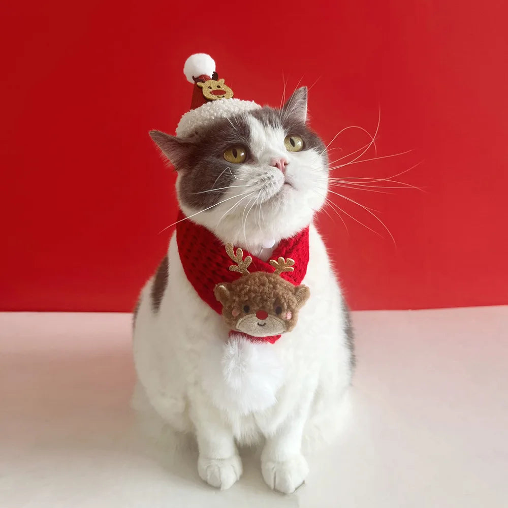 soft red christmas cat hat and scarf with adjustable chin strap