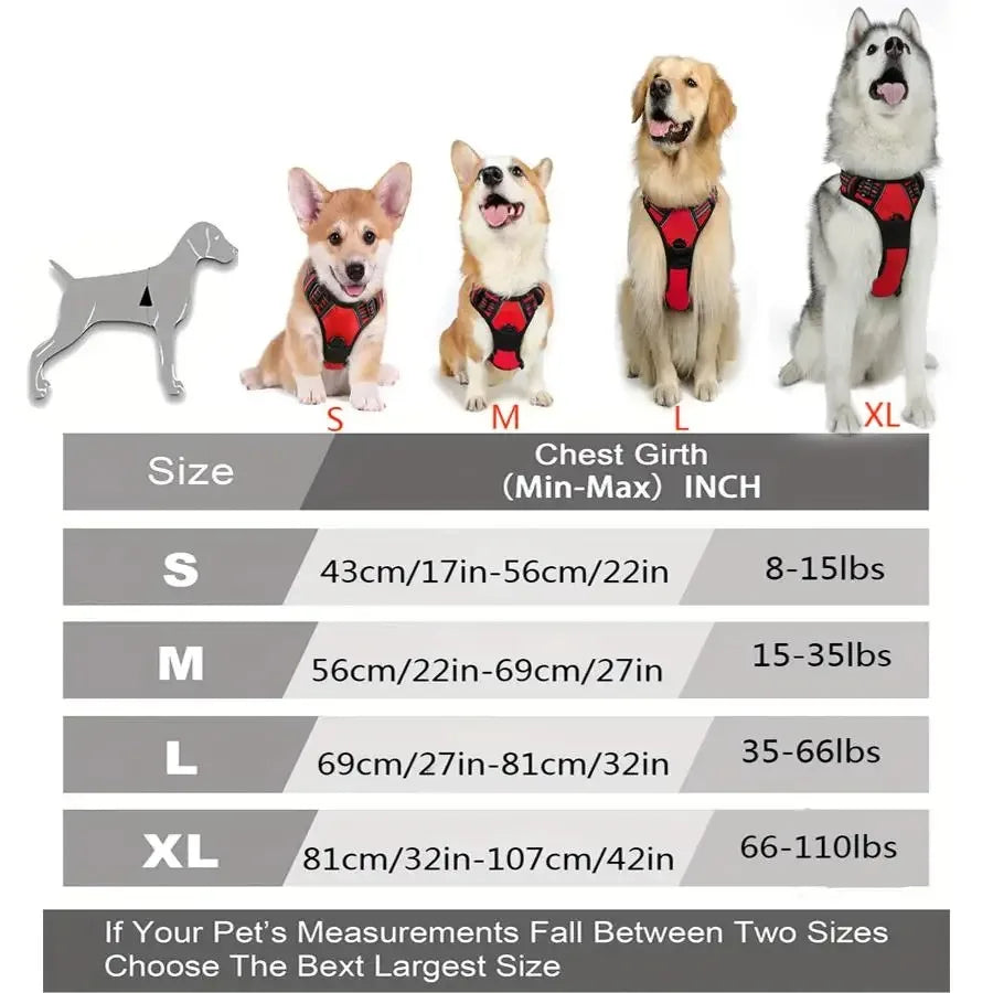 personalized leather-style dog harness set – comfortable vest