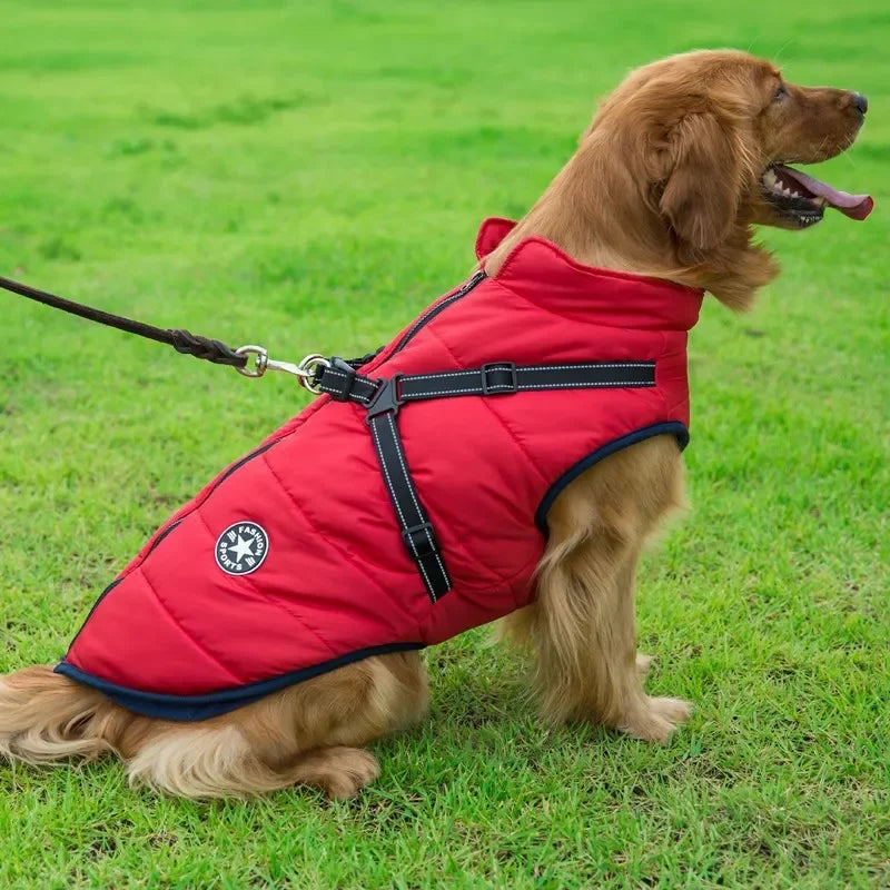winter dog jacket with built-in harness – warm splash-proof coat