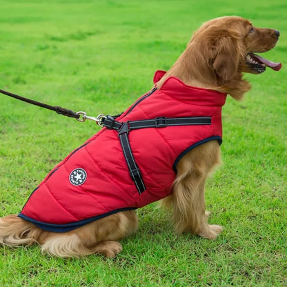 Winter Dog Jacket with Built-In Harness – Warm Splash-Proof Coat