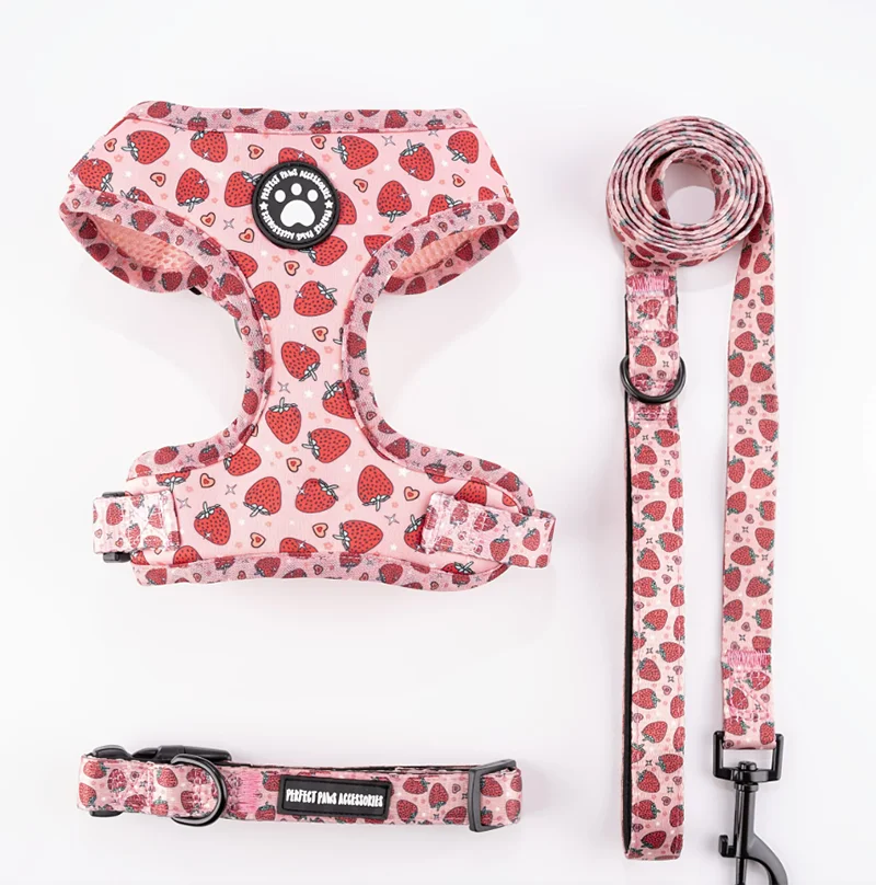 3-in-1 adjustable dog harness and leed set with padded chest vest