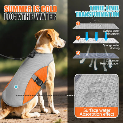 Dog Cooling Vest Harness with Portable Water Bottle for Summer Walks