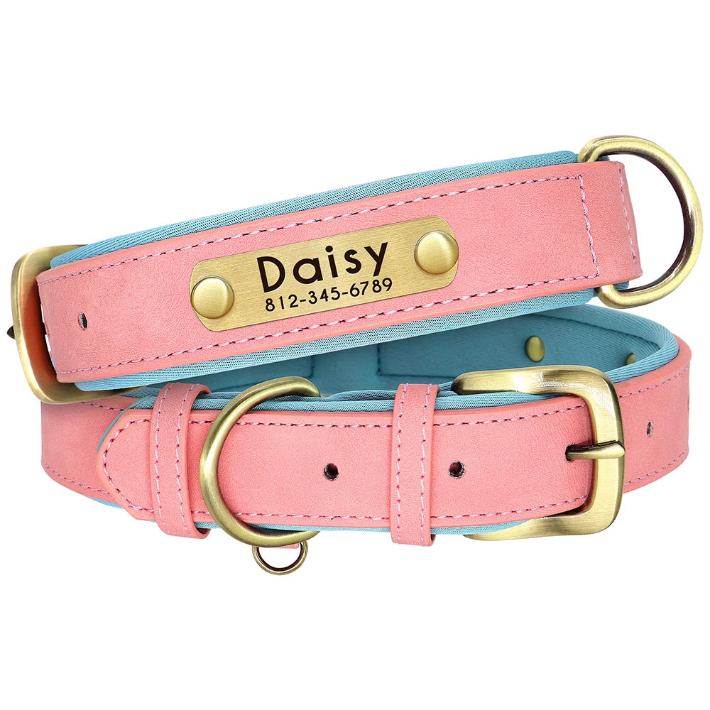padded leather dog collar and leash set with custom nameplate tag