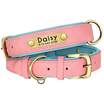 Padded Leather Dog Collar and Leash Set with Custom Nameplate Tag