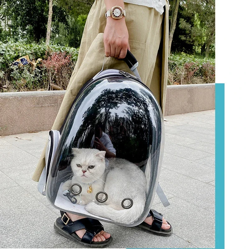 transparent bubble pet carrier backpack for cats & small dogs