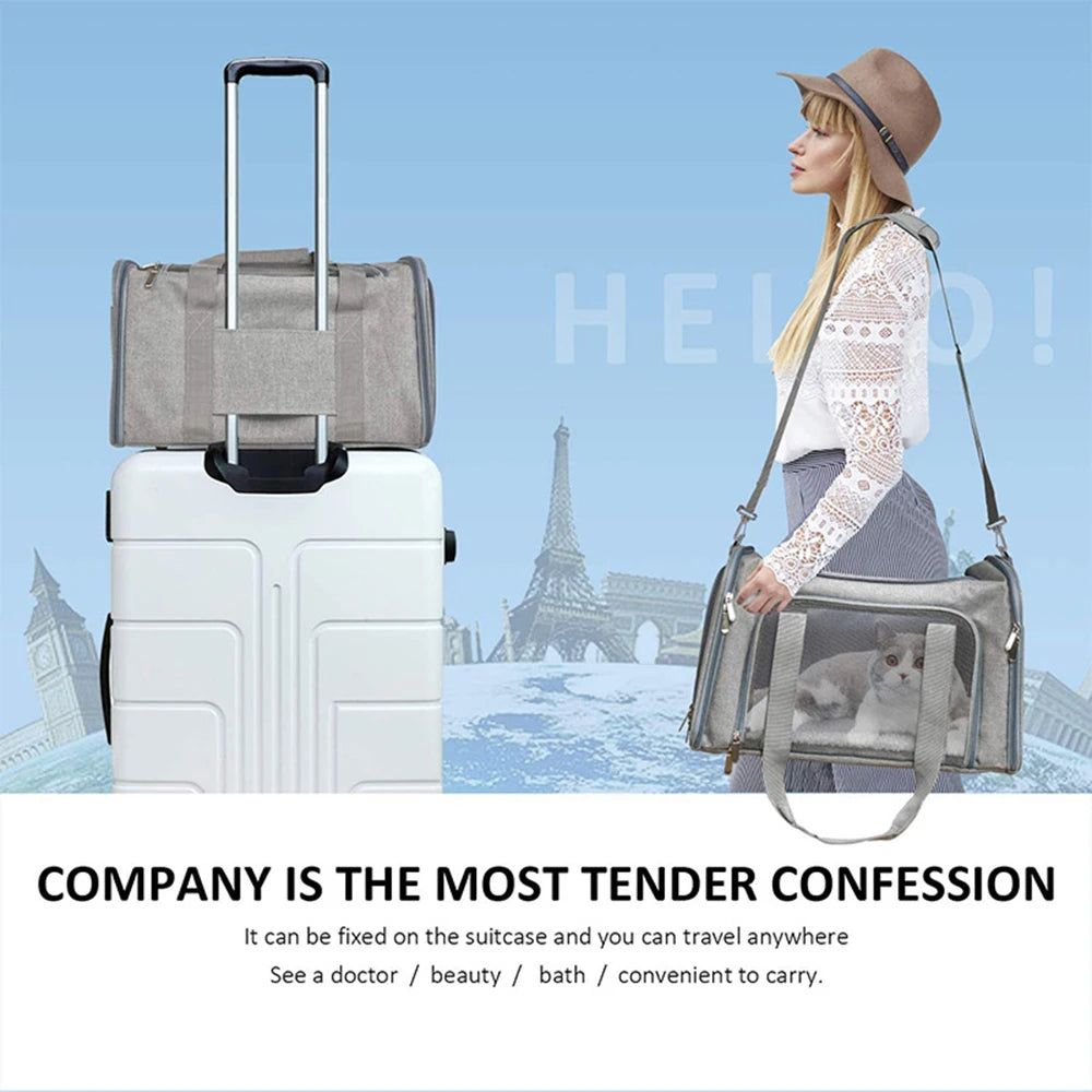 collapsible travel pet carrier for cats & dogs up to 15 lbs