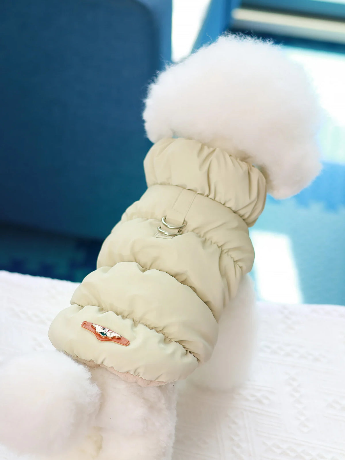 thick warm 3-layer puppy jacket for autumn winter poodle teddy yorkie